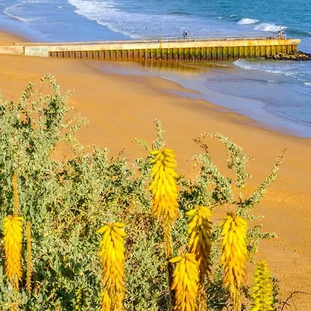 In Albufeira's Old Town Appartement Albufeira